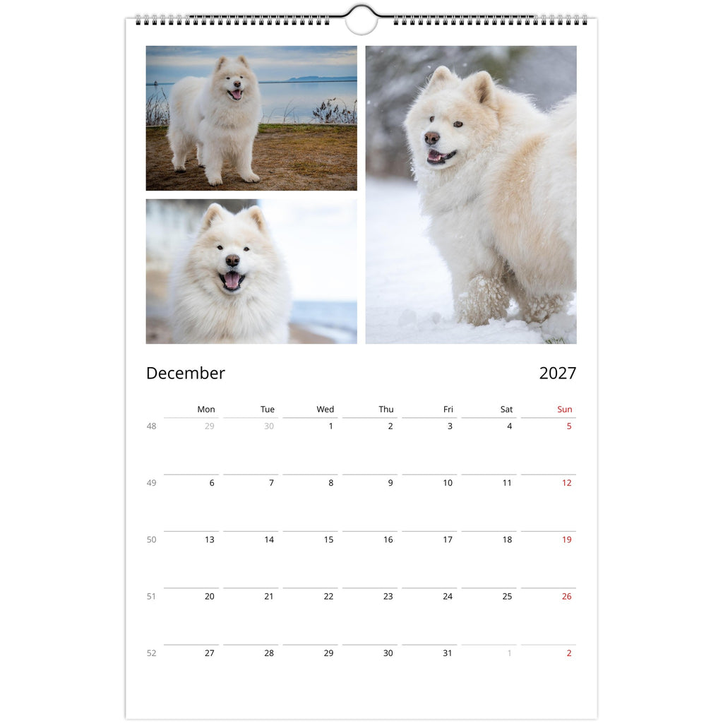 A spiral-bound December 2027 wall calendar page featuring four photos of a fluffy white dog in outdoor settings above a standard monthly calendar grid.
