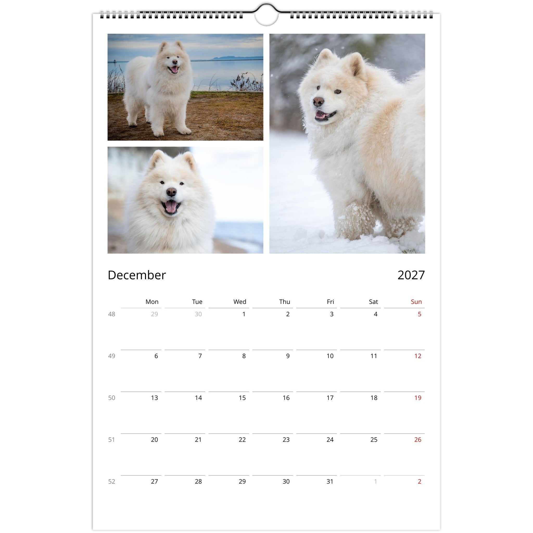A spiral-bound December 2027 wall calendar page featuring four photos of a fluffy white dog in outdoor settings above a standard monthly calendar grid.