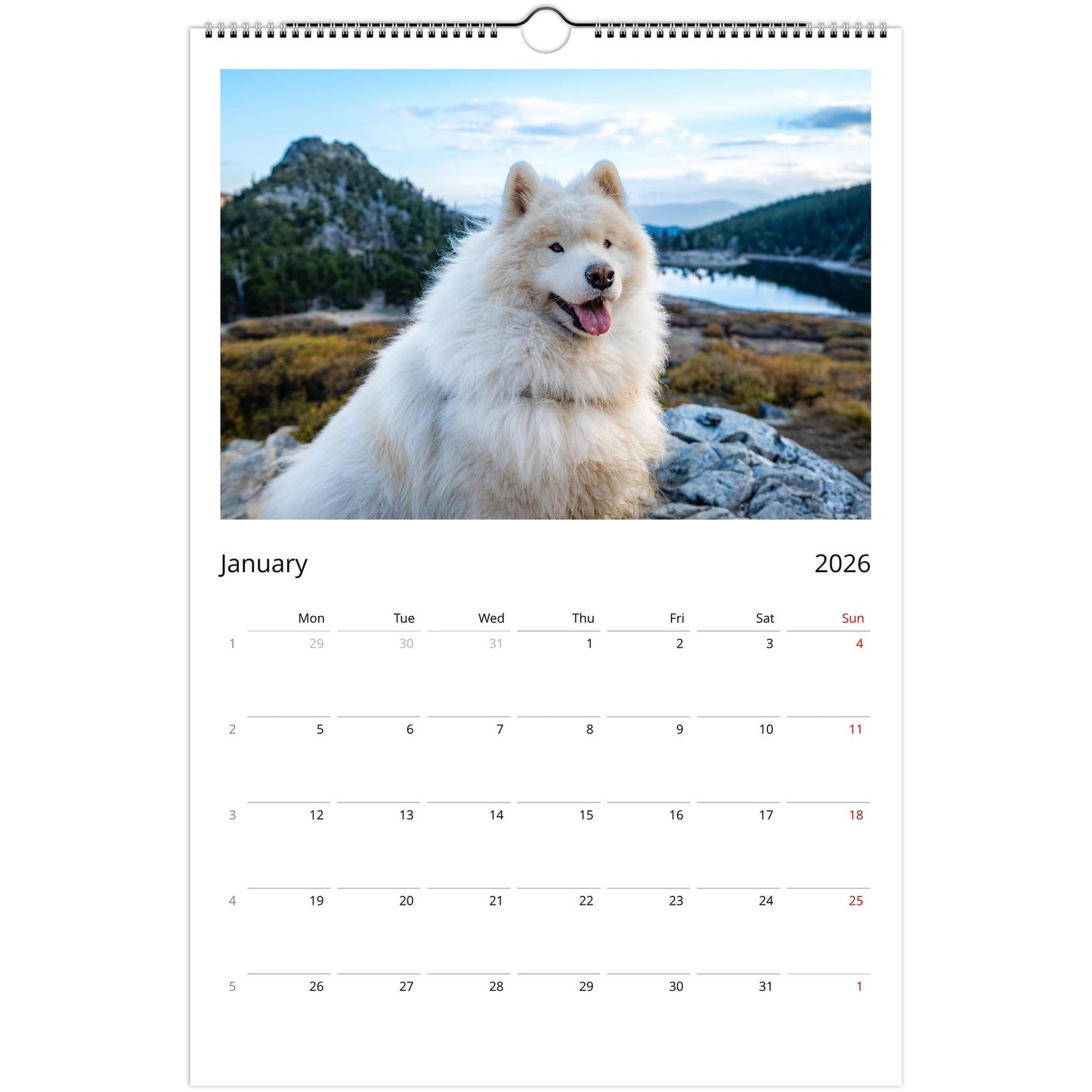 254b434f-044d-461d-ae20-6009d2740d6f