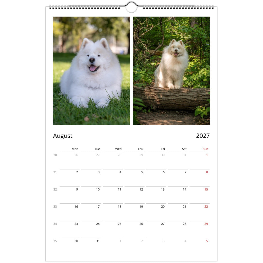 A spiral-bound August 2027 wall calendar page featuring two square photos of a white fluffy dog above a printed calendar grid. The left photo shows the dog on grass outdoors, and the right photo shows the dog sitting on a log in a wooded area.