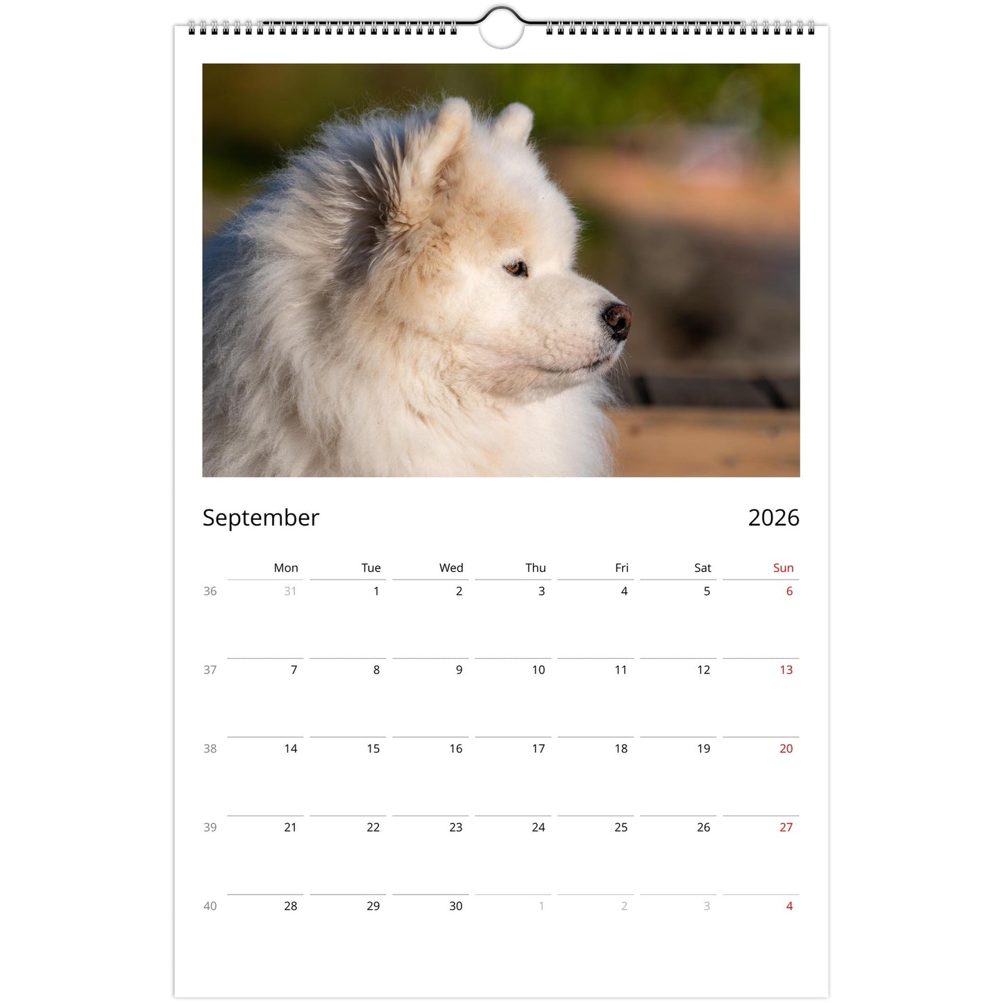 3c865a1b-9562-46cf-9126-93d3f1d7b32a