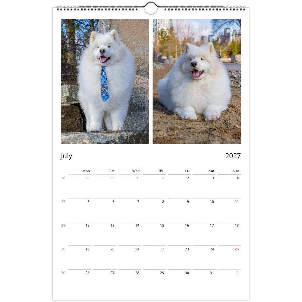 A spiral-bound wall calendar page showing two photos of a fluffy white dog wearing a blue patterned tie, with the calendar grid for July 2027 below on a white background.