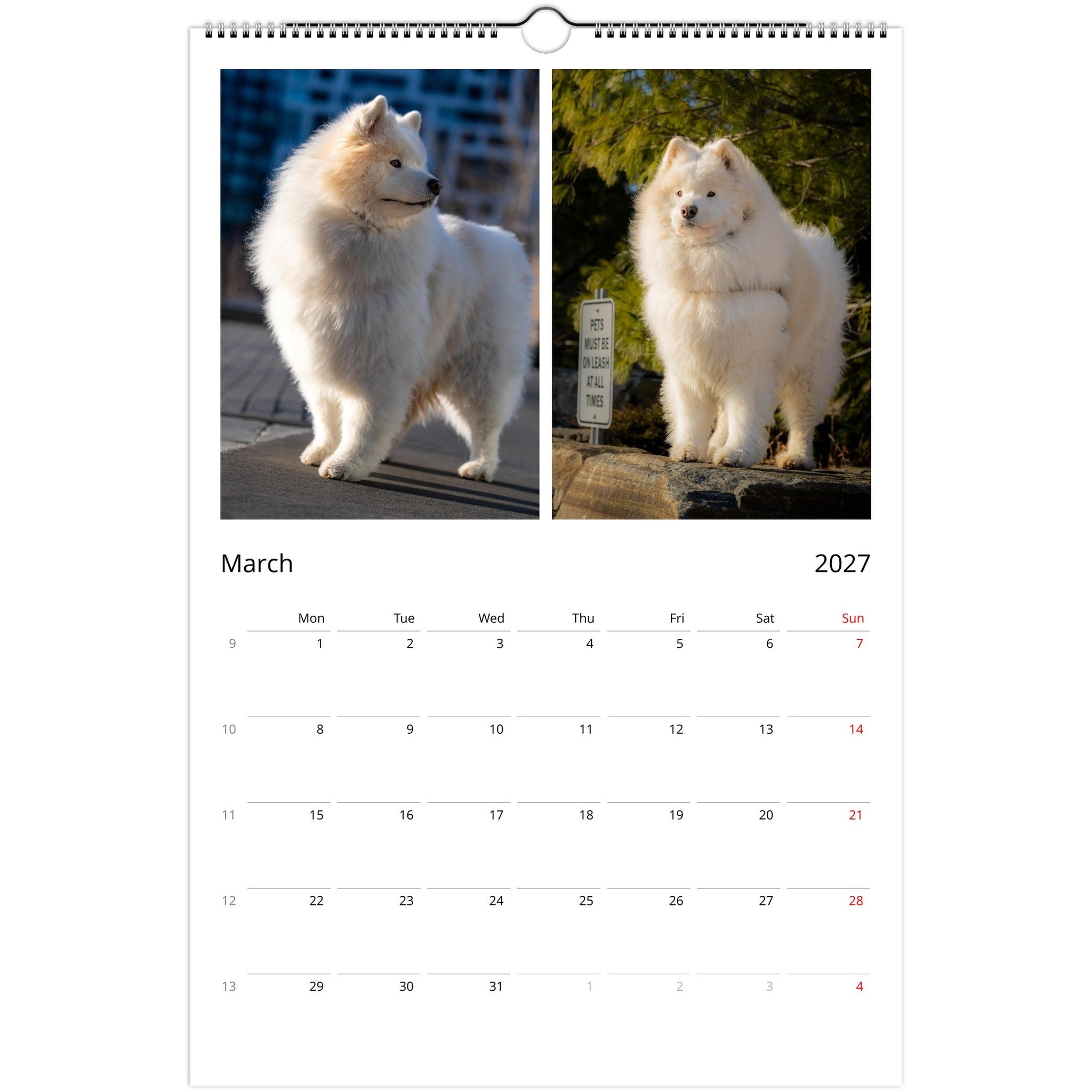 A spiral-bound wall calendar page showing two photos of a fluffy white dog on the left and right sides, with the month and year March 2027 and a weekly calendar grid below.