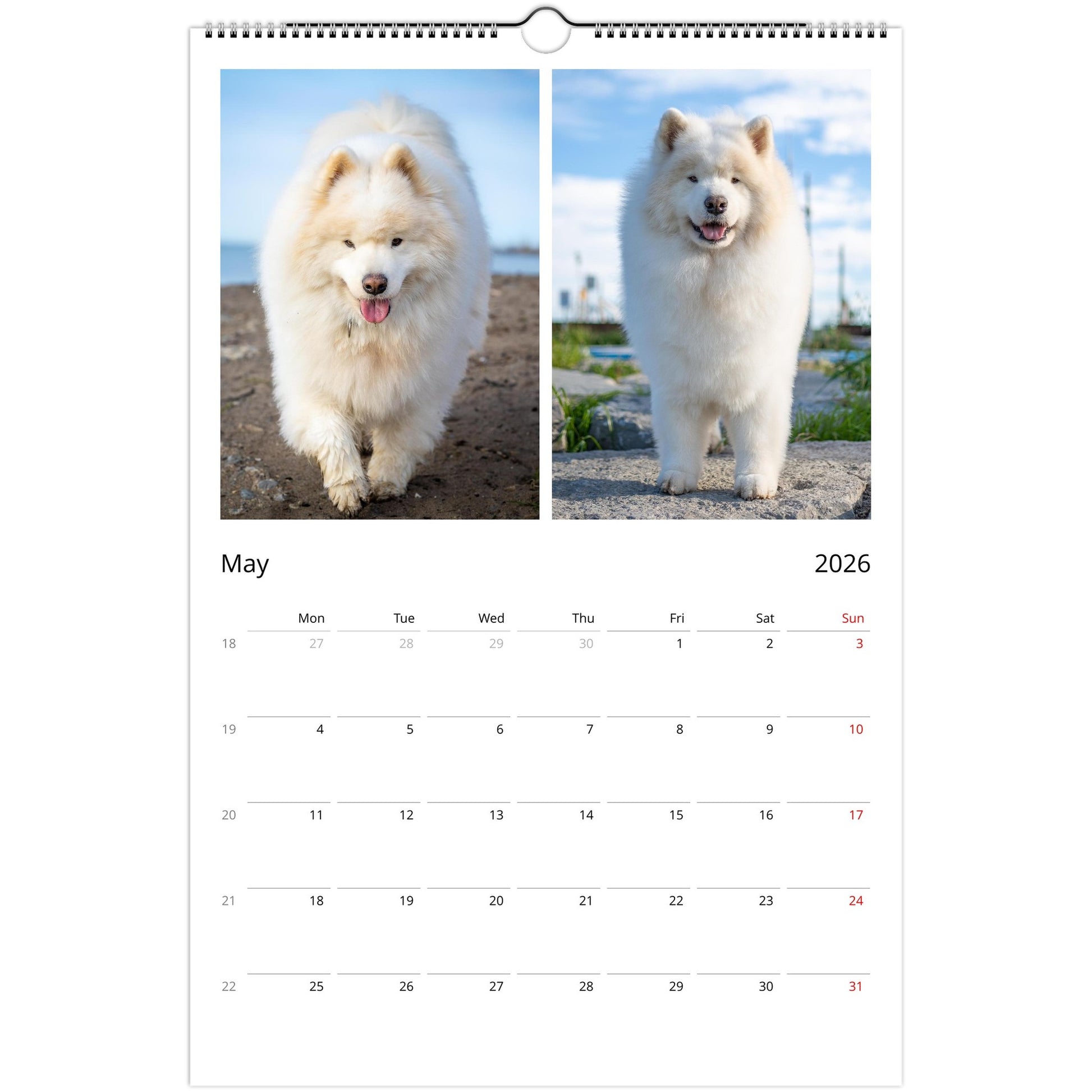 5c28433d-03a4-445e-bb79-9526bc823dc8