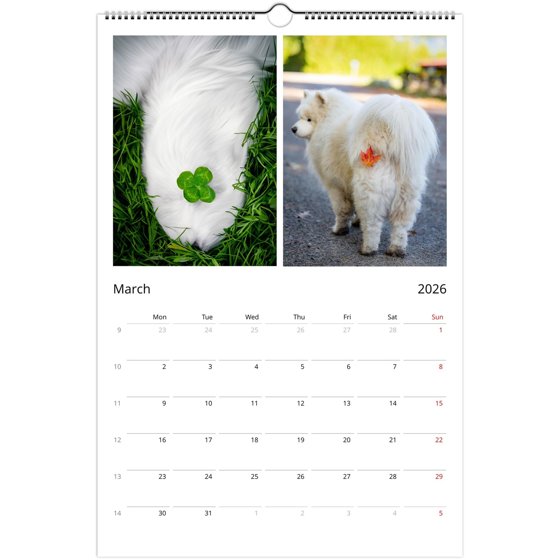 5f30a6a0-0187-43db-8d24-aa37c4468dfd