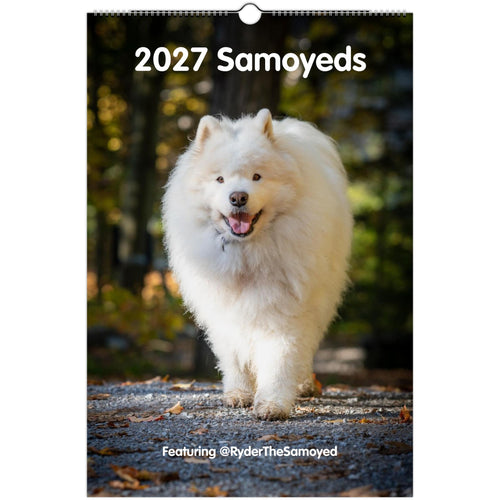 A hanging wall calendar cover for 2027 Samoyeds, featuring a fluffy white Samoyed dog walking on a forest path. The title '2027 Samoyeds' appears at the top, and 'Featuring @RyderTheSamoyed' is printed near the bottom.