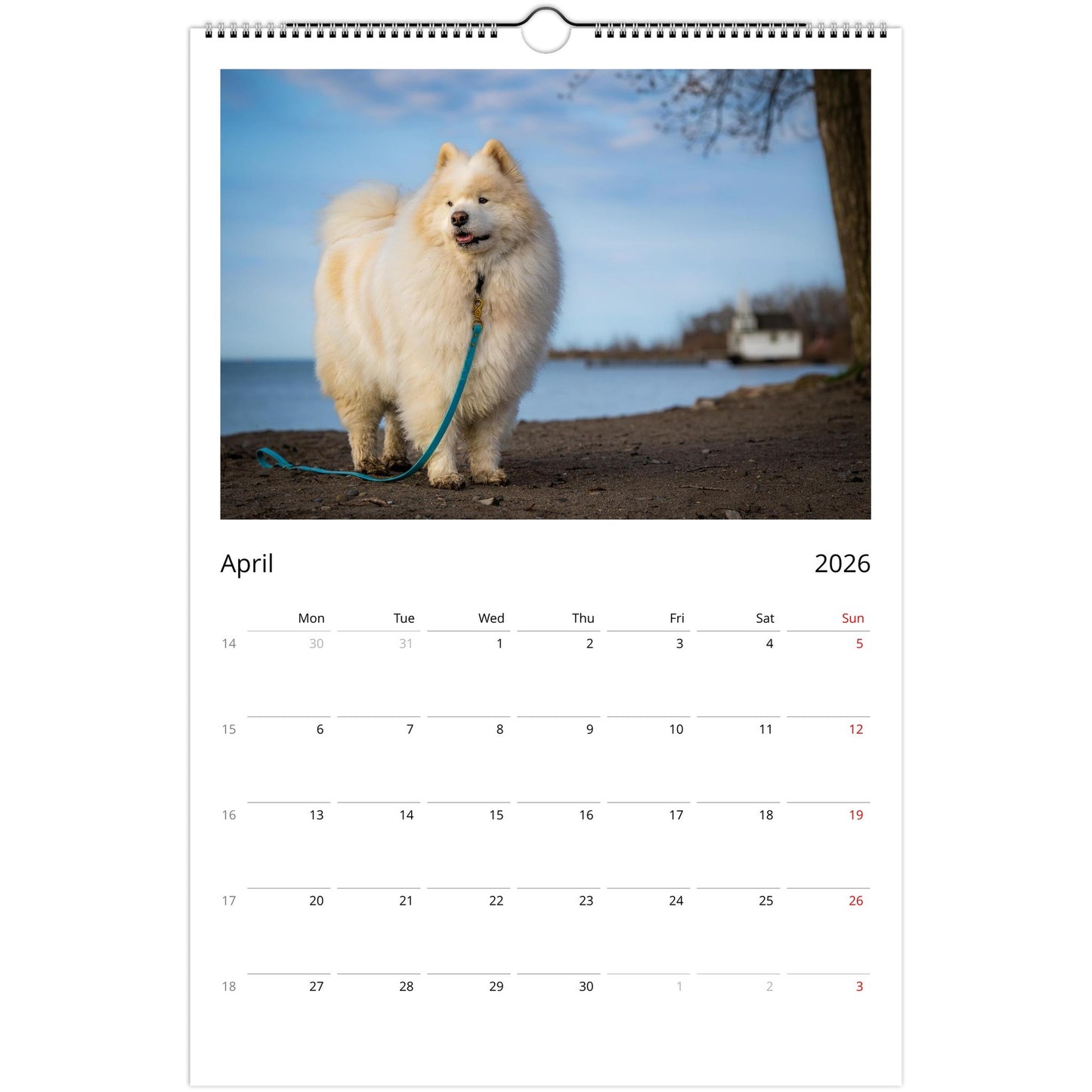 83325f5d-7b51-4e1f-a096-2396c369fcfa