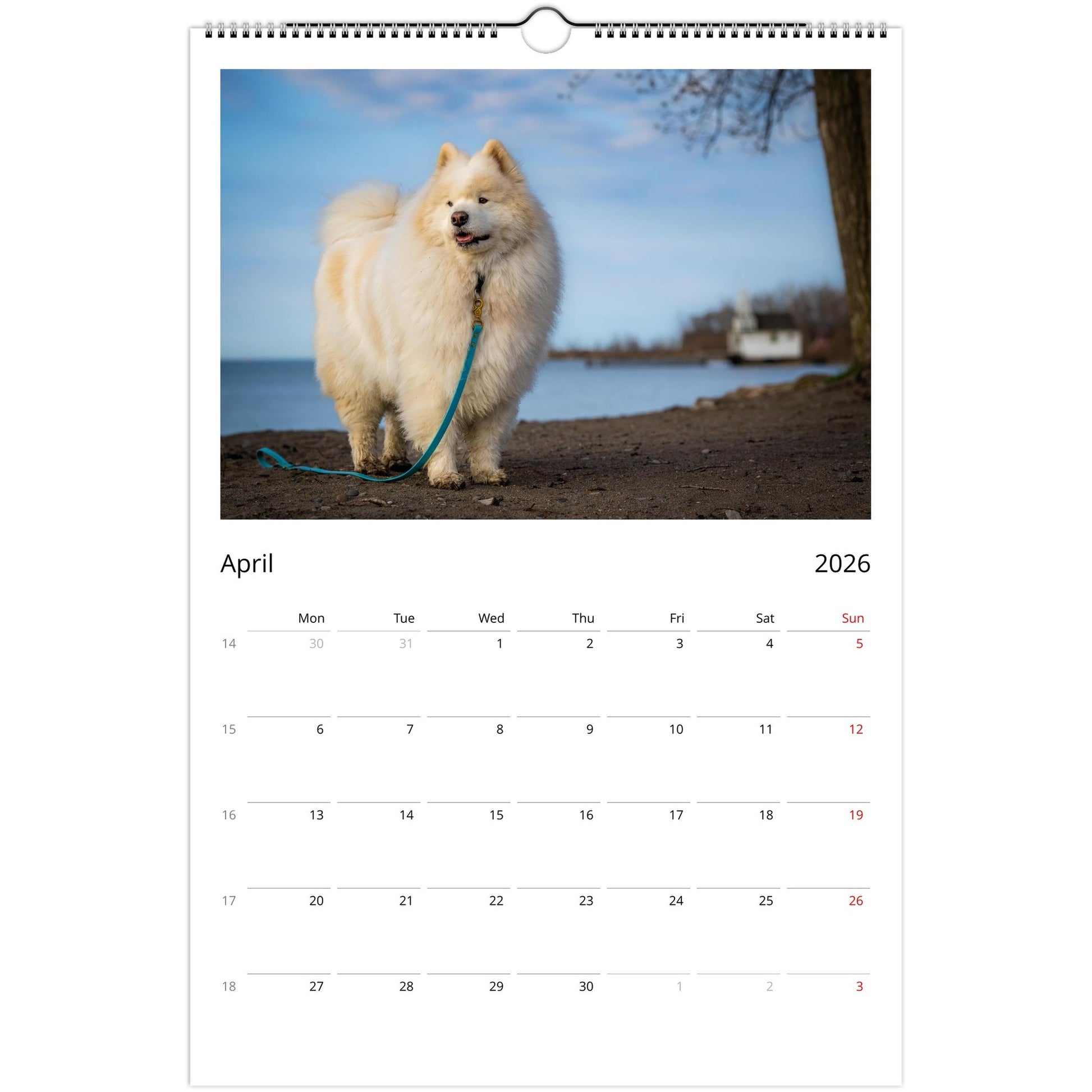 83325f5d-7b51-4e1f-a096-2396c369fcfa