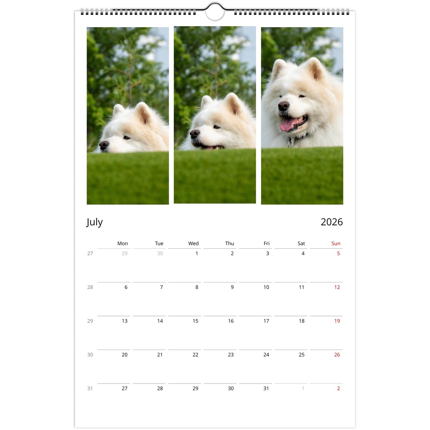 883323db-f0d1-4b64-82f0-dc3eb056e1f3