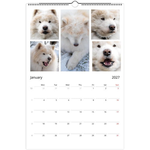 A spiral-bound January 2027 wall calendar page featuring five photos of a fluffy white dog across the top and a monthly calendar grid below on a white background.