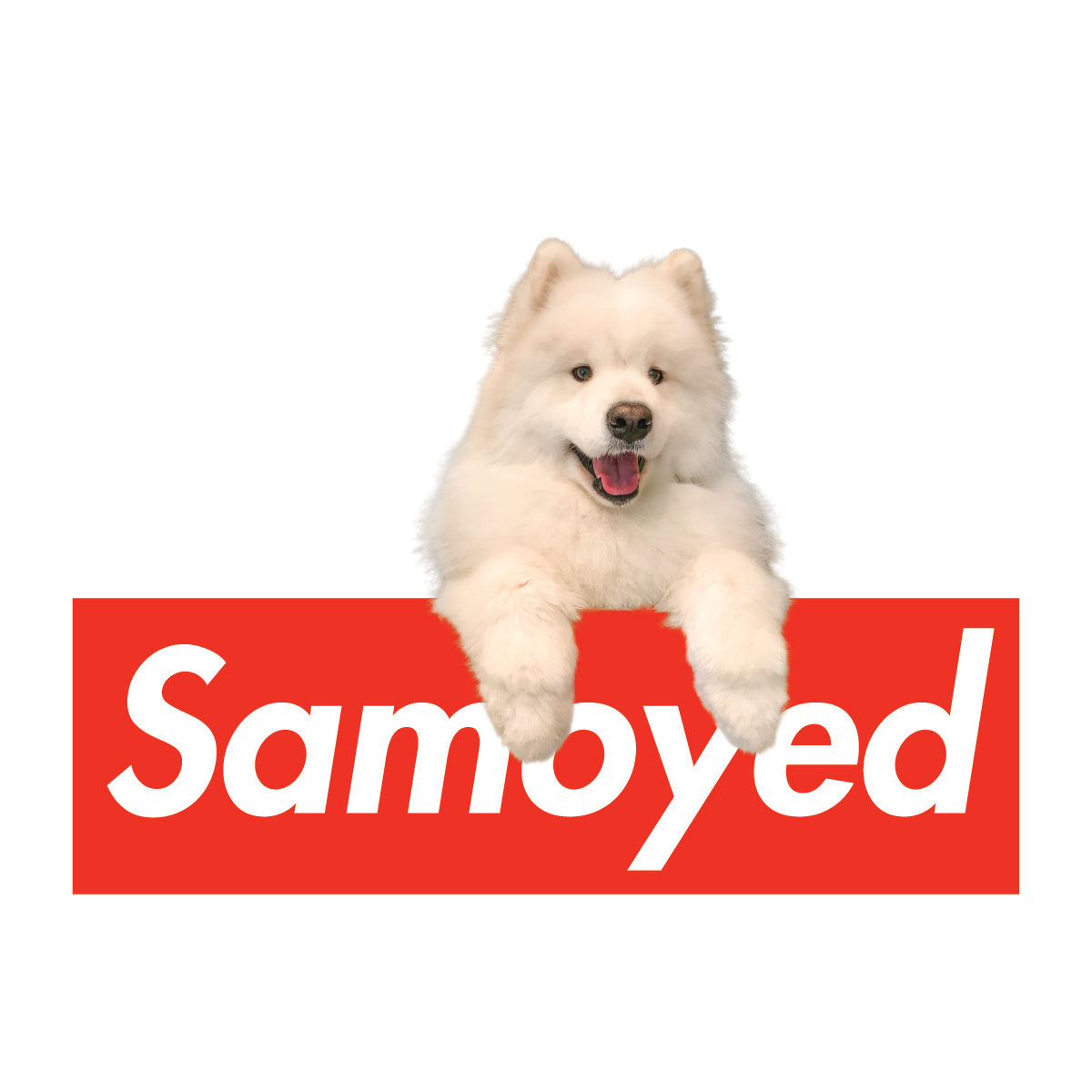 Classic Ryder Box Logo T-Shirt