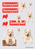 Ryder Box Logo Sticker Sheet
