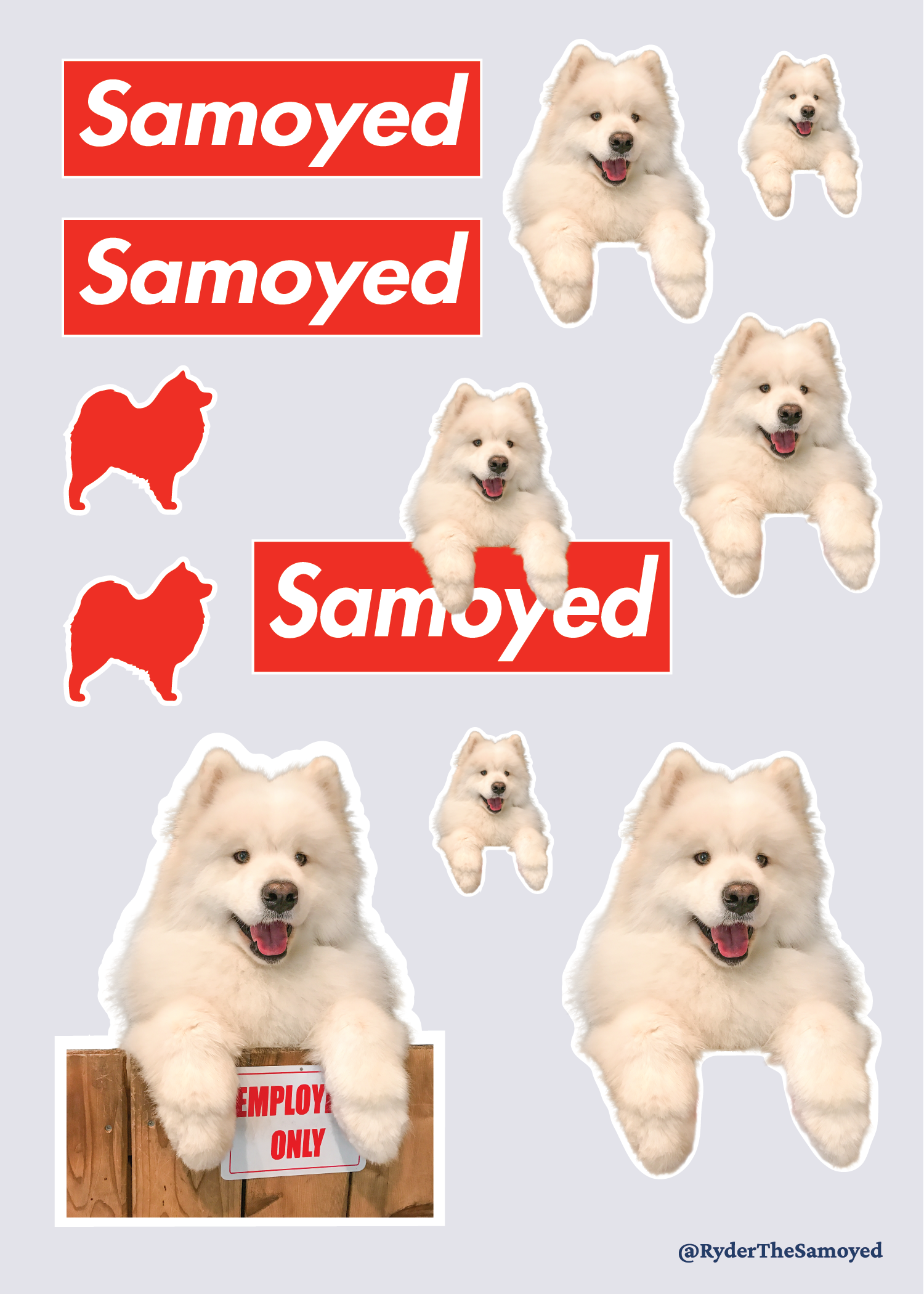Ryder Box Logo Sticker Sheet