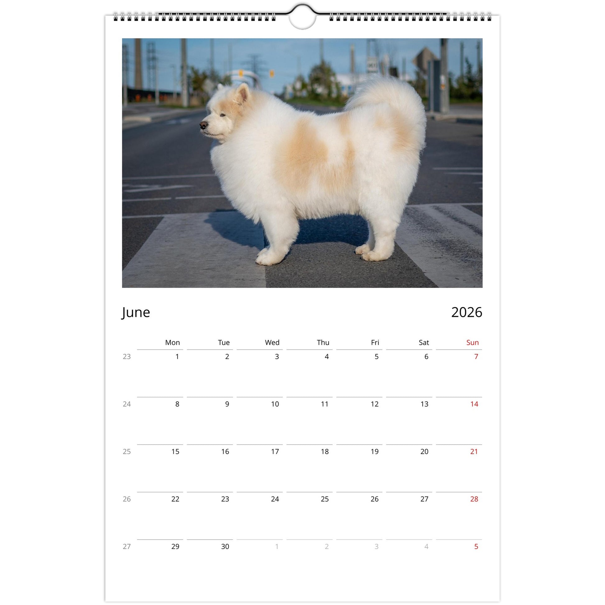 ae0913d9-10d9-4fa9-a651-cbb6dff23687