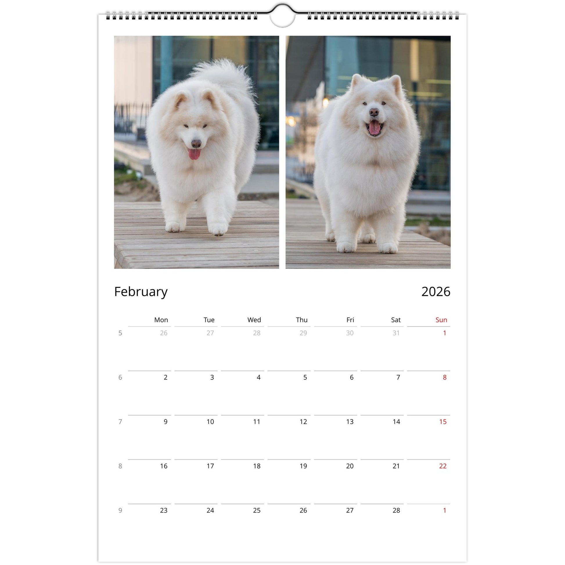 ba519187-648b-42b4-95db-6e087aedf1a1