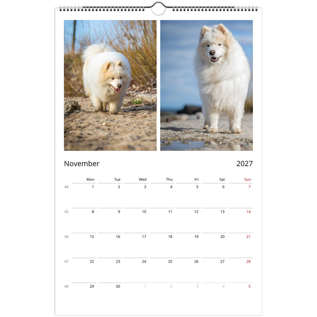 A spiral-bound wall calendar page showing two photos of a fluffy white dog on a beach, with a November 2027 calendar grid below.