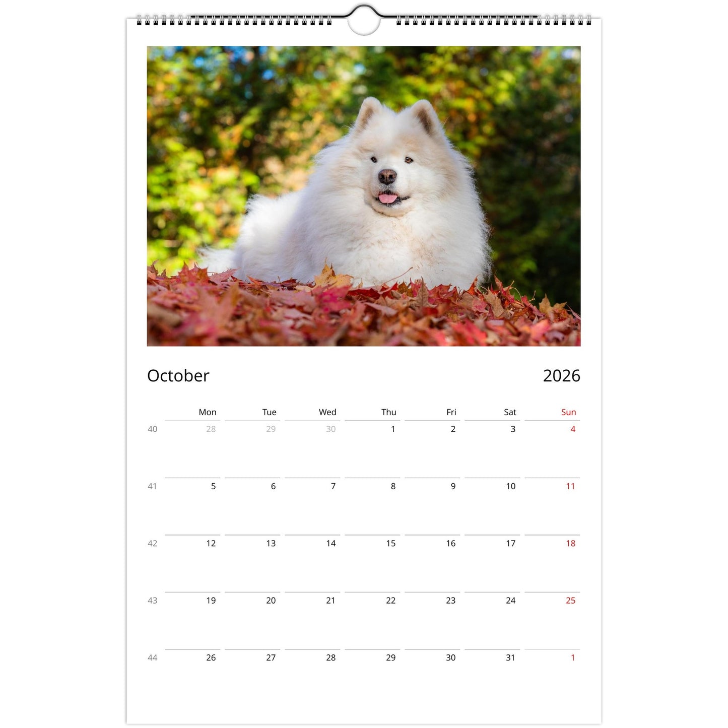 cebad882-f303-4be4-920f-715de6f00ca2