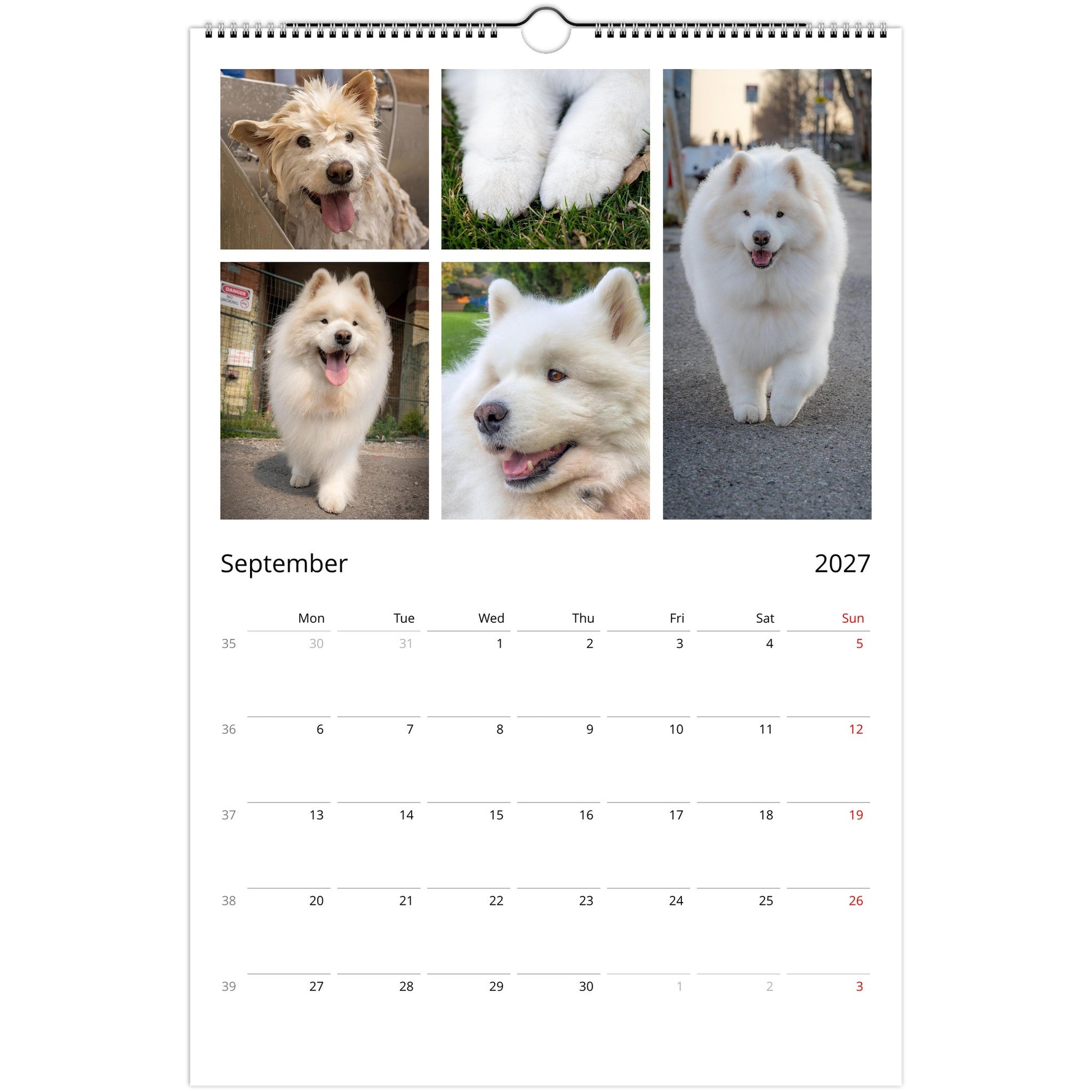 A spiral-bound wall calendar page showing September 2027, with six square dog photos at the top and a weekly calendar grid below on a white page.