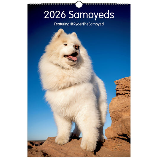 ff3063f3-86f4-407e-80a8-7695ab8e17e9